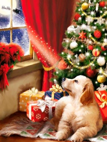 perro mirando nieve navidad