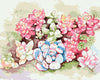 Colorear Por Números - Echeverias de Colores