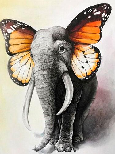 Colorear Por Números - Elefante Orejas de Mariposa