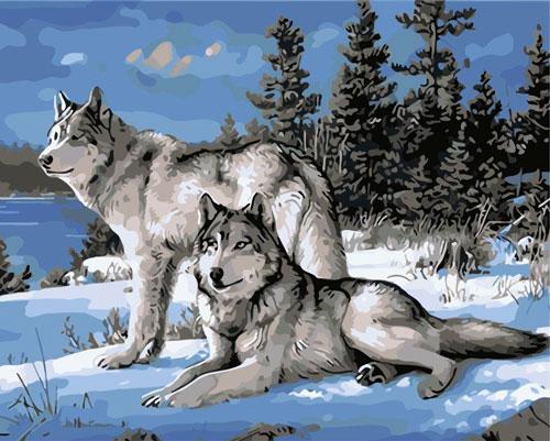 Colorear Por Números - Pareja de Lobos en la Nieve