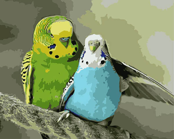 Colorear Por Números - Pareja de Periquitos