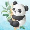 pinta por numero nino colorear animales animals panda bear